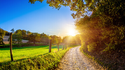 wonderful autumn landscape with forest, meadows and a path in the light of the setting sun