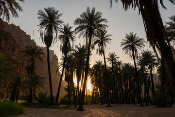 Wall Mural - Wadi Al Disah valley views in Tabuk region of western Saudi Arabia