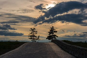 Pink sunset. Golden hour. cloudy sky and old brick road. Two trees on horizon. 