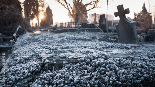 Cuadros en Lienzo Cemetery tombstone, headstone or stone in a cold autumn or fall frost ice in a c