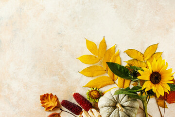 Wall Mural - thanksgiving and fall holidays background. top view. copy space.