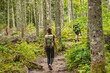 © Maridav - Hike trail hiker woman walking in autumn fall nature woods during fall season. Hiking active people tourists wearing backpacks outdoors trekking in pine forest.