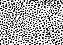 Cheetah Skin Pattern Design. Cheetah Spots Print Vector Illustration Background. Wildlife Fur Skin Design Illustration For Print, Web, Home Decor, Fashion, Surface, Graphic Design 