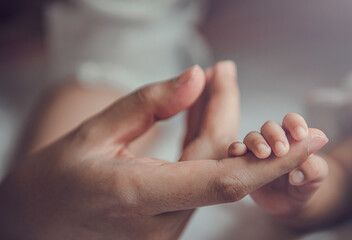 Wall Mural - newborn baby holding mother's hand.