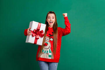 Sticker - Photo of attractive crazy funky lady newyear party receive large big giftbox present package raise fist open mouth win competition prize wear red ugly pullover isolated green color background