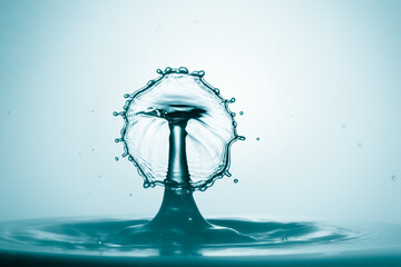 Wall Mural - water splash crown. drop collision