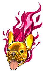 Wall Mural - carlino head Dog Flame Tattoo vector illustration