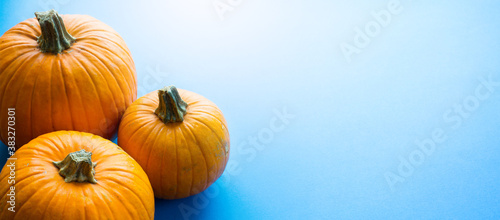 Hello autumn; thanksgiving holiday party background with autumn pumpkin on blue background