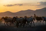 Fototapeta Konie - Wild horses run in foggy at sunset. Between Cappadocia and Kayseri, Turkey