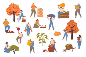 Wall Mural - Male and Female Farmers Characters Harvesting on Farm. Vector illustration with small people for web page, presentation, print, banner. Farming, harvesting, collecting vegetables.