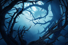 Dark Forest With Thorny Bushes