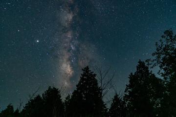 Canvas Print - milky way