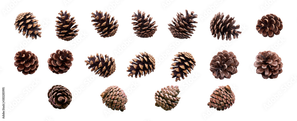 A collection of small pine cone for Christmas tree decoration isolated against a white background. - obrazy, fototapety, plakaty 