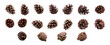 A collection of small pine cone for Christmas tree decoration isolated against a white background.