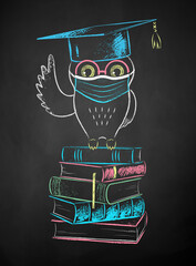 Wall Mural - owl sitting on books and wearing mask