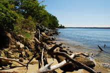 Driftwood, Concrete Chunks And Riprap Line Shoreline Of Patuxent River Near Solomons Island, Maryland. The Hard Materials Are Used To Prevent Erosion Of The Shoreline. Looking Downstream.