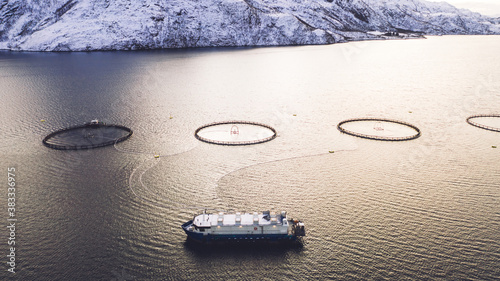Cuadros en Lienzo Salmon fish farming in Norway sea