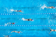 People Training In Swimming Pool, Top View