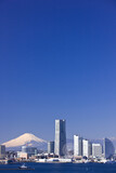 Fototapeta Las - みなとみらい21のビル群と富士山