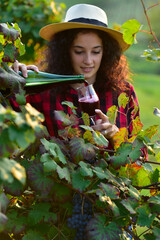 Wall Mural - Ragazza che versa vino rosso