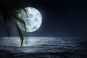 Fantasy night. Palm leaves and full moon in starry sky over sea