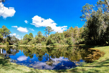 Wall Mural - The Autumn landscape of New Tampa, Florida: beautiful cloud and blue sky	