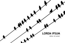 Birds On Wires. Vector Illustration