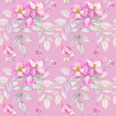  Beautiful seamless pattern with gentle roses and leaves on a pink background. Watercolor botanical illustration. 