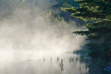 Wall Mural - Sunrise above forest lake