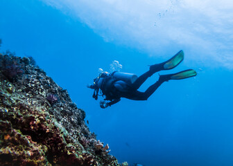  Driver above the surface of the reef in the Indian ocean
