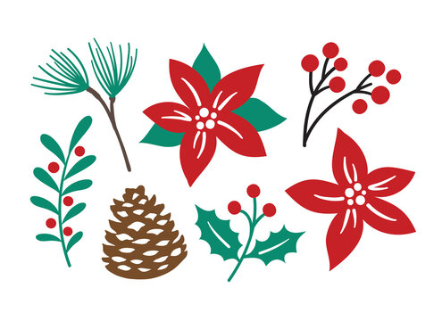 Fototapete - Vector illustration of decorative Christmas foliage plants including poinsettia, pine, berry branch, holly berries, and pinecone.