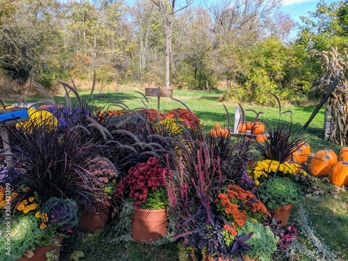 Beautiful Mixed Fall Planters with Flowers and Plants Available at a Roadside Farm Stand