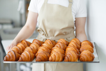 Baker carrying freshly baked crispy golden croissants on a metal tray