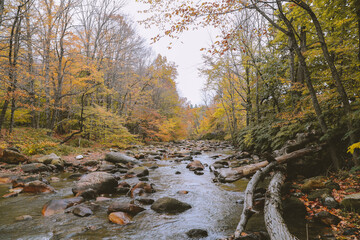 Hoosic River in autumn, Clarksburg, Massachusetts Leaf peeping. Autumn in New England is known for its vibrant colors and picturesque beauty. 