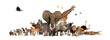 Leinwandbild Motiv Large group of African fauna, safari wildlife animals together, in a row, isolated