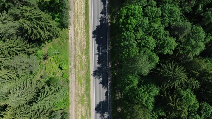 Wall Mural - Aerial top down view on freeway road. Asphalt road between forest trees. Summer sunny day.
