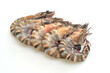 fresh tiger prawn or shrimp