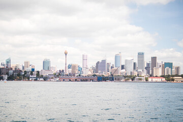 Wall Mural - Sydney Harbor