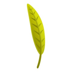 Poster - Autumn green leaf icon. Cartoon of autumn green leaf vector icon for web design isolated on white background