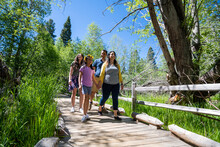 A Family Walks On A Nature Trail In South Lake Tahoe, CA