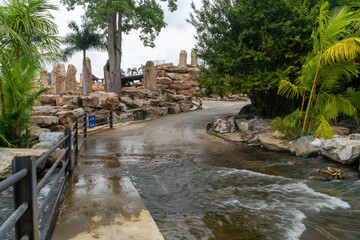 Wall Mural - the river in the jungle