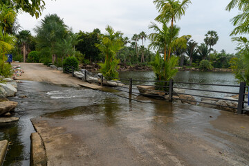 Wall Mural - rice terraces in island