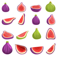 Poster - Figs icons set. Cartoon set of figs vector icons for web design