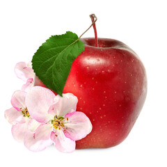 Wall Mural -  image of  apple on a white background