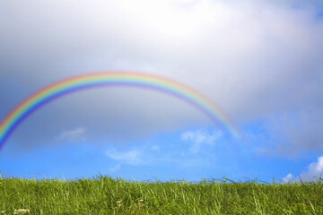 草原と虹