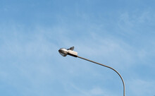 The Dove Sits On A Lamp Post And Looks Into The Distance
