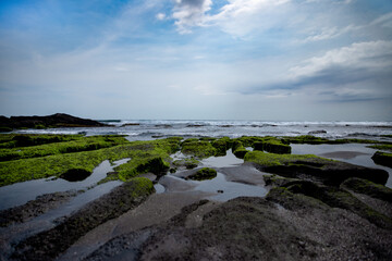 Wall Mural - Rock formations at the sea in Bali