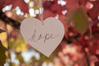 © DGC - Heart with the word Hope handwritten on it, hanging in a tree with autumn color leaves