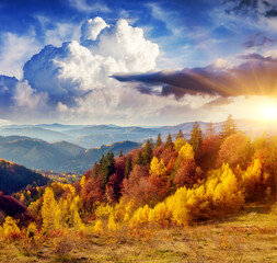 Majestic autumn landscape