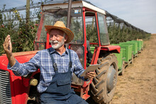 Farmer With Tablet Standing Beside Tractor In Orchard